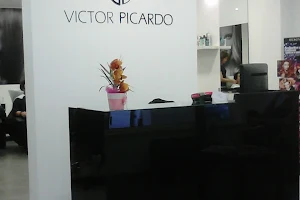 Salão Victor Picardo Carvoeiro image