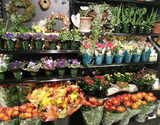 Natural Foods Store «Living Earth», reviews and photos, 232 Chandler St, Worcester, MA 01609, USA