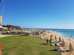 TUI MAGIC LIFE Kalawy'in fotoğrafı otel alanı