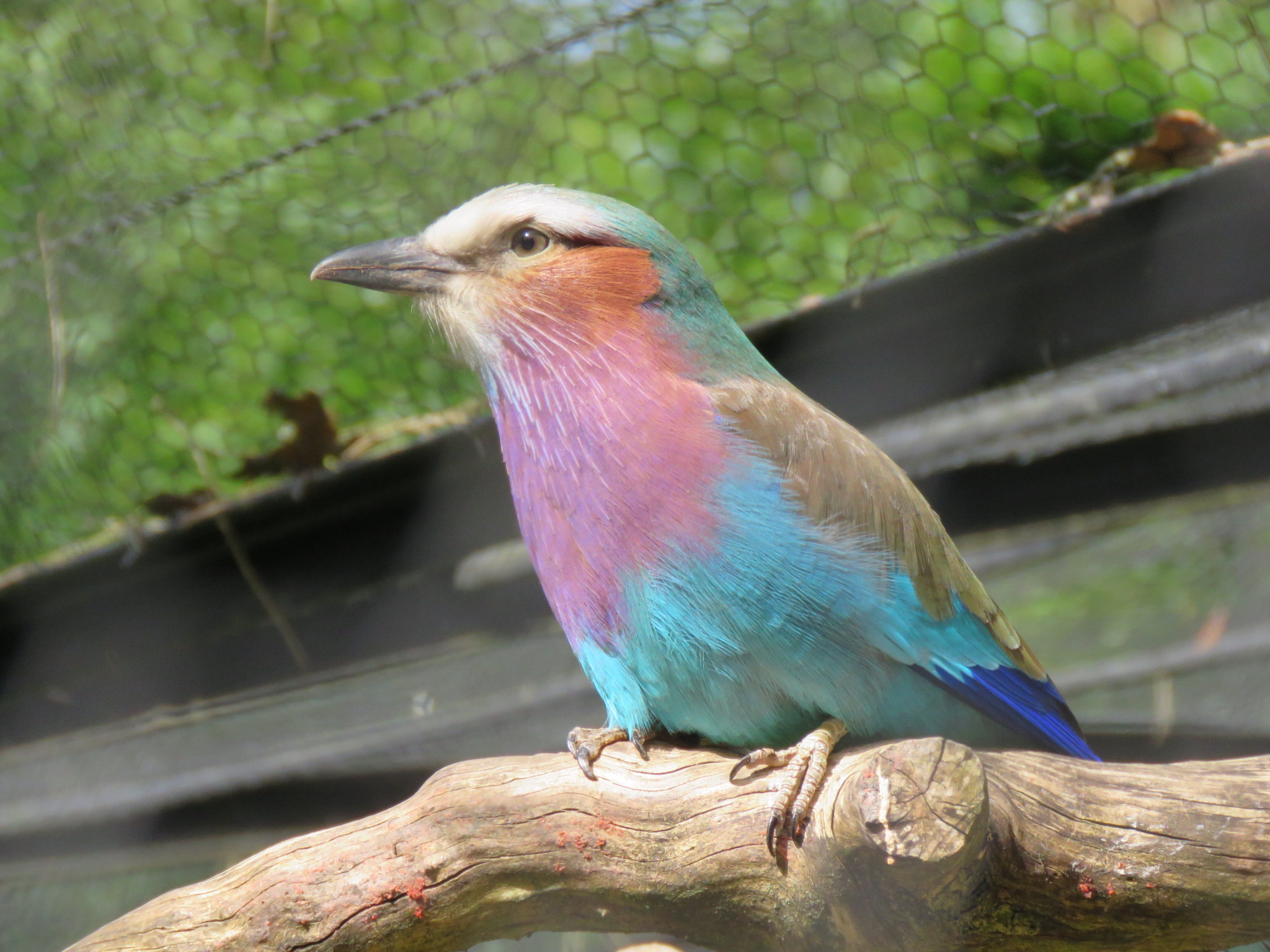 Photo n° 4 de l'avis de Delphine.� fait le 17/04/2022 à 17:54