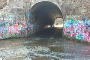 Sensabaugh Tunnel image