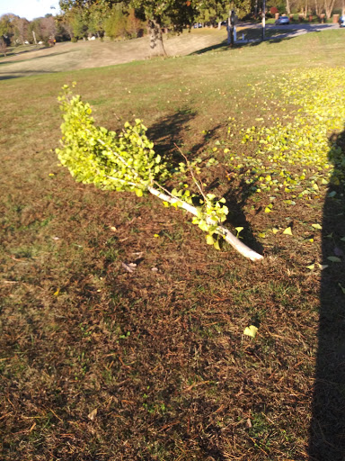 Golf Course «Paul Walker Golf Course», reviews and photos, 1040 Covington St, Bowling Green, KY 42103, USA