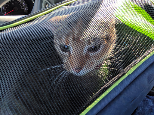 Animal Shelter «Humane Society of Ocean City», reviews and photos, 1 Shelter Rd, Ocean City, NJ 08226, USA