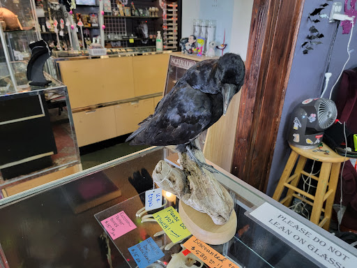 Boutique «Spoox : A Spooky Bootique», reviews and photos, 3453 State St, Salt Lake City, UT 84115, USA