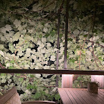 Photo n°1 de l'avis de A.i fait le 23/08/2022 à 03:10 sur le  Restaurant Finsterwirt - Oste Scuro à Brixen