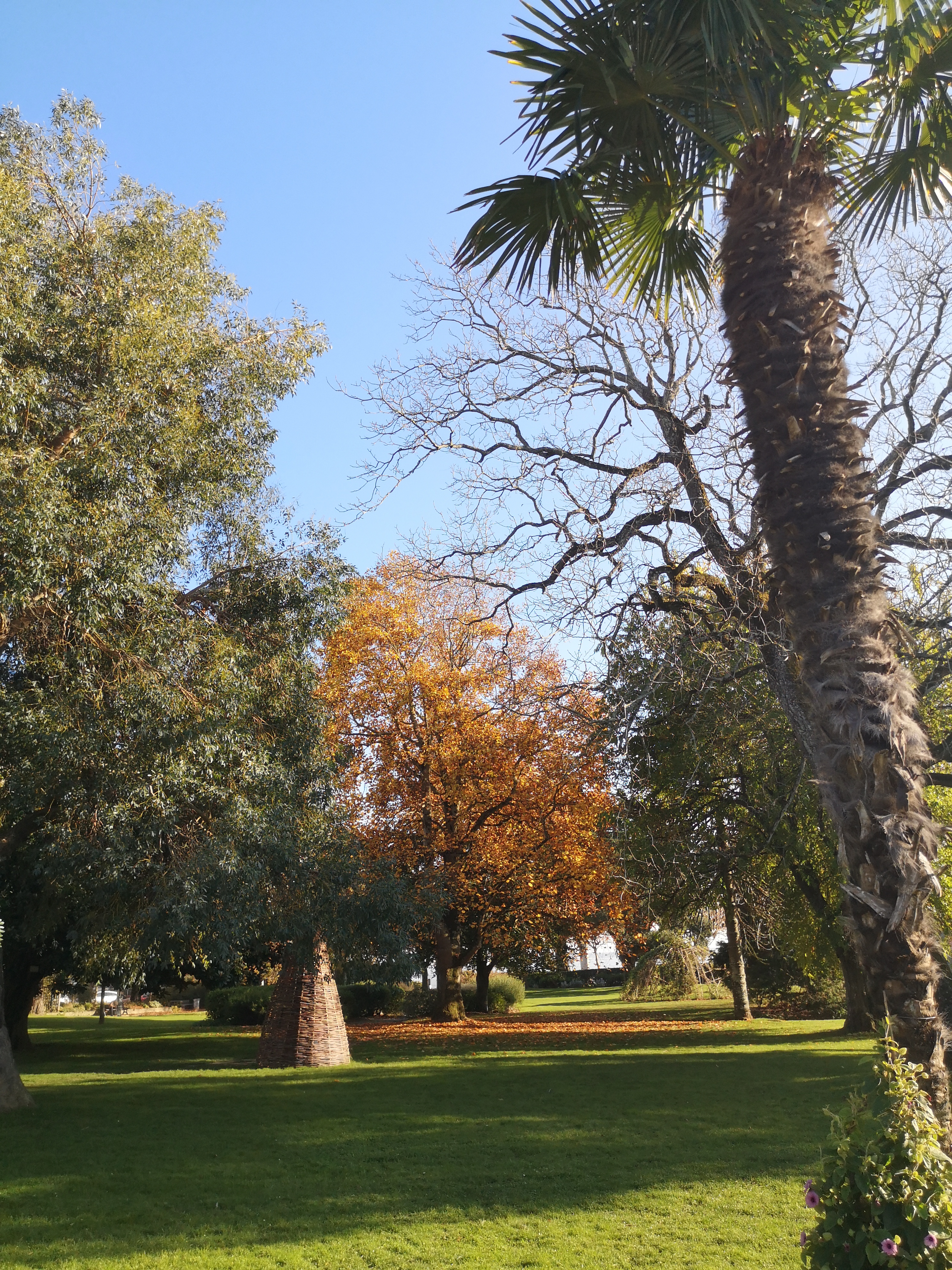 Photo n° 6 de l'avis de Zora.u fait le 29/11/2018 à 18:58