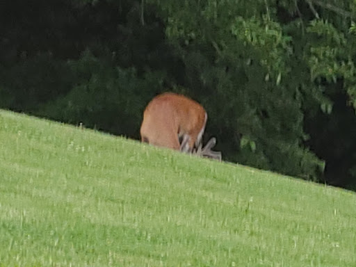 Park «Waterloo Park», reviews and photos, 6951 Old Waterloo Rd, Elkridge, MD 21075, USA