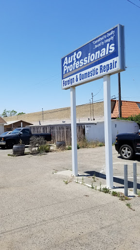 Auto Professionals in Santa Maria, California