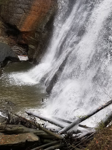 Tourist Attraction «Brandywine Gorge Trail», reviews and photos, 8176 Brandywine Rd, Sagamore Hills, OH 44067, USA