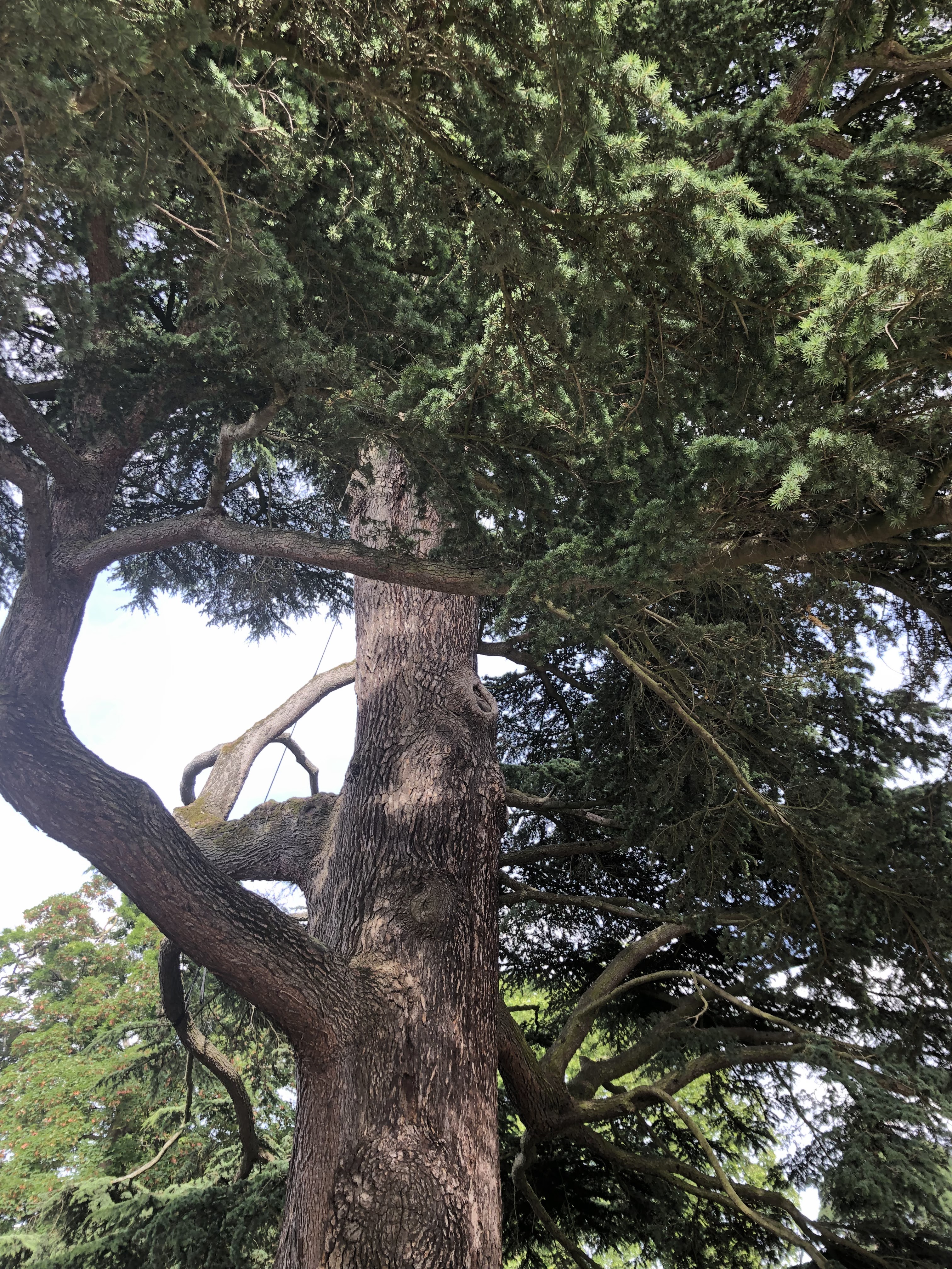 Photo n° 6 de l'avis de Denis.u fait le 18/06/2019 à 20:16