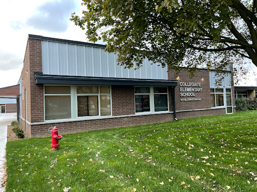 Collegiate Avenue Elementary School