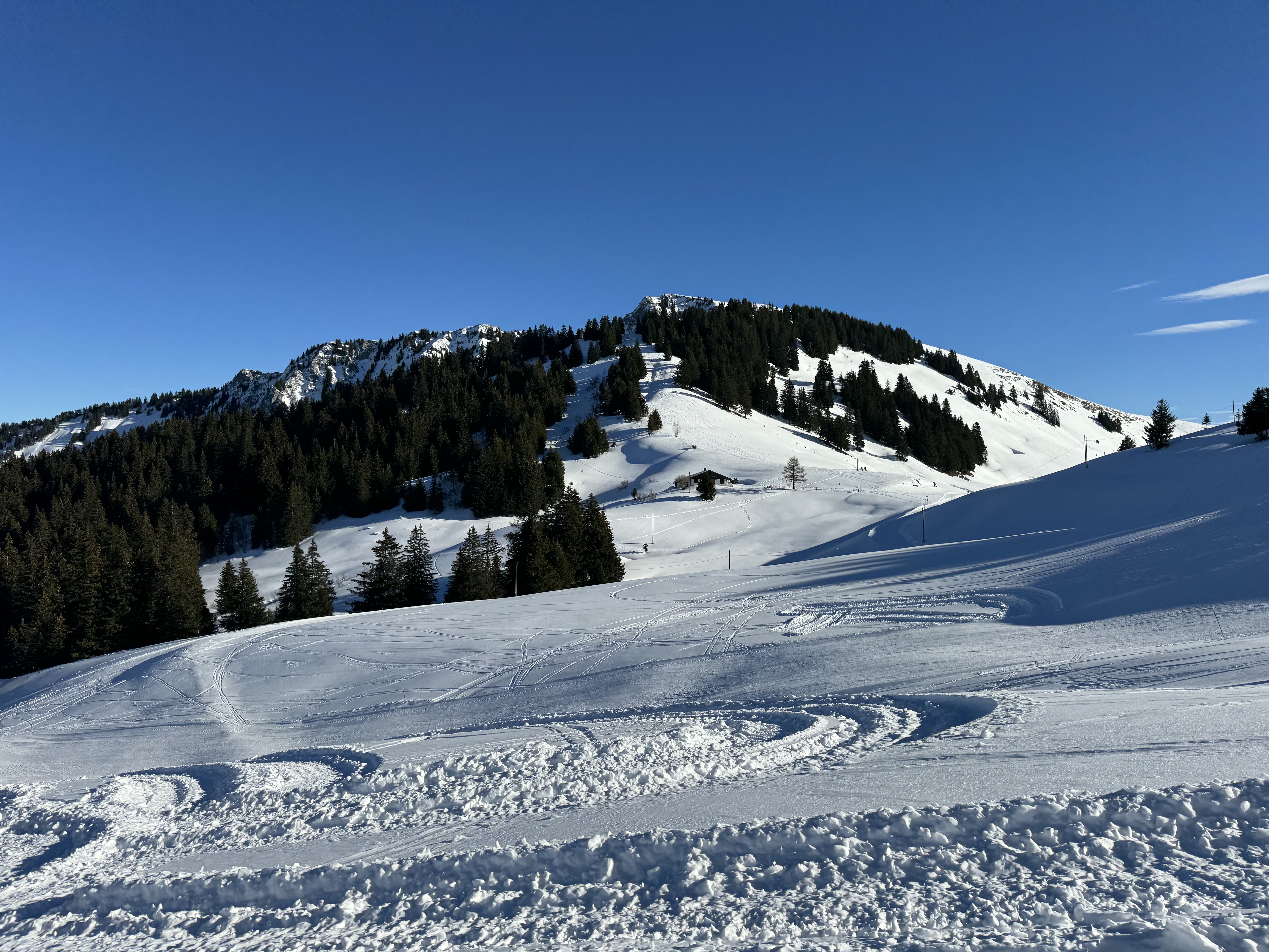 Photo n° 4 de l'avis de Manon.a fait le 26/12/2023 à 07:36