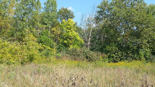 Park «Wayne County Parks & Rec», reviews and photos, 33175 Ann Arbor Trail, Westland, MI 48185, USA