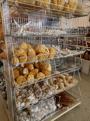 Gift Shop «Big Shark», reviews and photos, 2715 N Atlantic Ave, Daytona Beach, FL 32118, USA