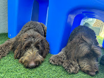 Holiday Barn Pet Resorts - Photo 5 - Car repair in Richmond, VA, Richmond