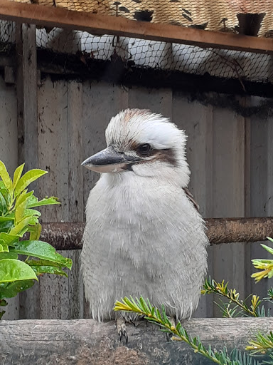 Dierenspeciaalzaak Henk van Os