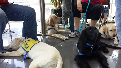 Elk Grove Subaru image