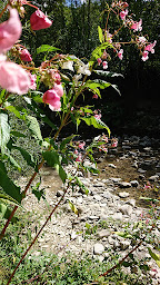 Photo n°22 de L'Esperluette - Guinguette des Prés à Le Grand-Bornand ()