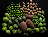 GARRENteed - Photo 3 - Car repair in , Bonita Springs