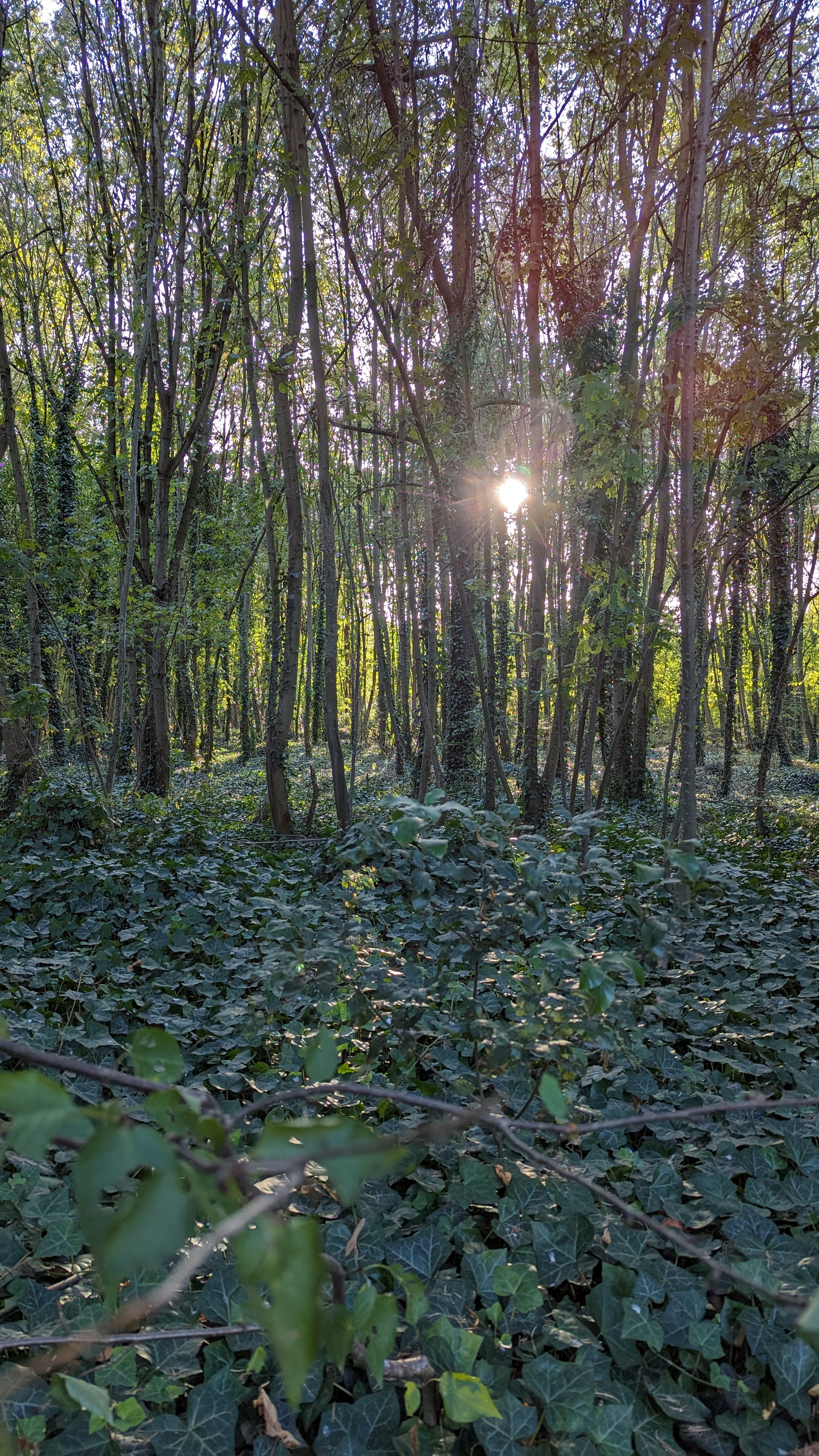 Photo n° 13 de l'avis de Alessandro.t fait le 09/03/2024 à 01:48