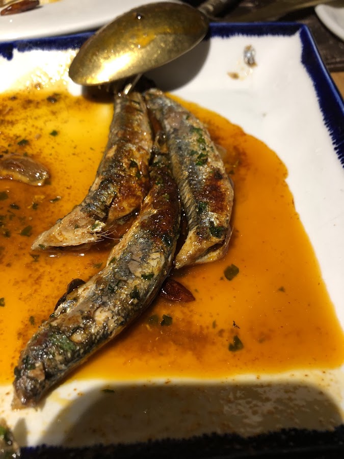 Bilbao Berria Ledesma