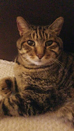 Photo n°4 de I-CAD à L'Haÿ-les-Roses ()