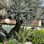 Photo n°2 de l'avis de Loretta.a fait le 10/10/2023 à 11:52 sur le  Ristorante da Romano à Nese