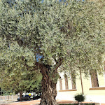 Photo n°2 de l'avis de Tarcisio.o fait le 18/09/2022 à 14:55 sur le  Da Andrea Cattolica à Cattolica