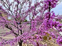 Children's Learning Center (ABQ) - Photo 7 - Car repair in Albuquerque, NM, Albuquerque