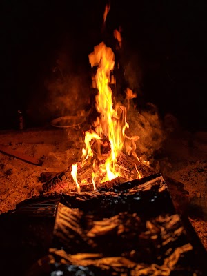 Caswell Memorial State Park - photo 24