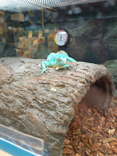 Pet Supply Store «Petco Animal Supplies», reviews and photos, 8966 S Broadway Ave #112, Tyler, TX 75703, USA