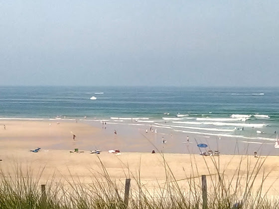 Photos des visiteurs hôtels La Côte d'Argent 40260 Castets