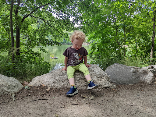 Park «Town of Arlington Menotomy Rocks Park», reviews and photos, 129 Jason St, Arlington, MA 02476, USA