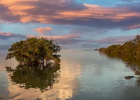 Film Camel - Car repair in , Spring Hill - Rated 5.0/5