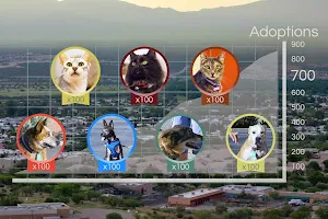 Animal League of Green Valley image