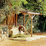 Photo n°1 de l'avis de Silvia.o fait le 02/09/2021 à 21:21 sur le  Parco Zoo Falconara Srl à Falconara Marittima