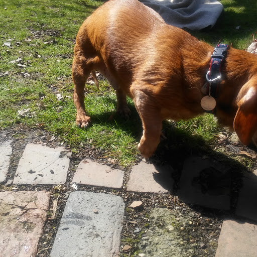 Park «Back Bay Fens», reviews and photos, 100 Park Dr, Boston, MA 02215, USA