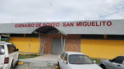 Gimnasio de Boxeo San Miguelito - 2FPX+53C, Calle Sta. Rosa, Panamá, Panama