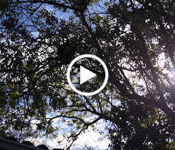 Bamboo Guest House Accommodation Knysna photo