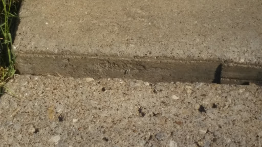 Florist «Bow Wood Florist & Gifts», reviews and photos, 100 N McGraw St, Forney, TX 75126, USA