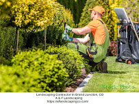 A & F Landscaping - Landscaping Contractor, Landscape Designer, Backyard Landscaping, Yard Landscaping - Photo 4 - Car repair in , Grand Junction