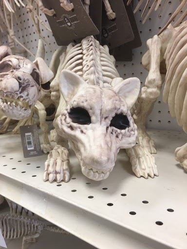 Fabric Store «Jo-Ann Fabrics and Crafts», reviews and photos, 5705 Sunrise Hwy, Holbrook, NY 11741, USA