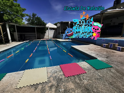 AquaShark escuela de natación
