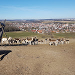 Photo n°10 de l'avis de Sascha.l fait le 25/02/2019 à 12:59 sur le  Skihütte Waldstetten à Waldstetten