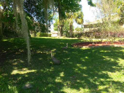 Golf Club «Summertree Golf Club», reviews and photos, 11816 Paradise Point Way, New Port Richey, FL 34654, USA