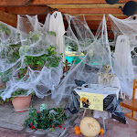 Photo n°1 de l'avis de RiQvr. fait le 27/10/2023 à 13:35 sur le  Garni Erta à Avio