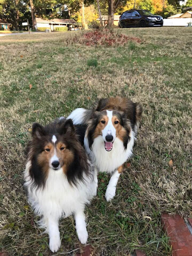 Pet Supply Store «PetSmart», reviews and photos, 1591 Bradley Park Dr, Columbus, GA 31904, USA