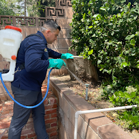 No Bugs Termite and Pest Control Inc. - Photo 4 - Car repair in Valencia, CA, Los Angeles