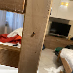 Photo n°2 de l'avis de Amahal.e fait le 30/01/2024 à 08:48 sur le  Hotel Residence Cenisio à Milan