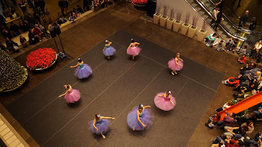 Dance School «Preston Hollow Dance», reviews and photos, 3720 Walnut Hill Ln #205, Dallas, TX 75229, USA